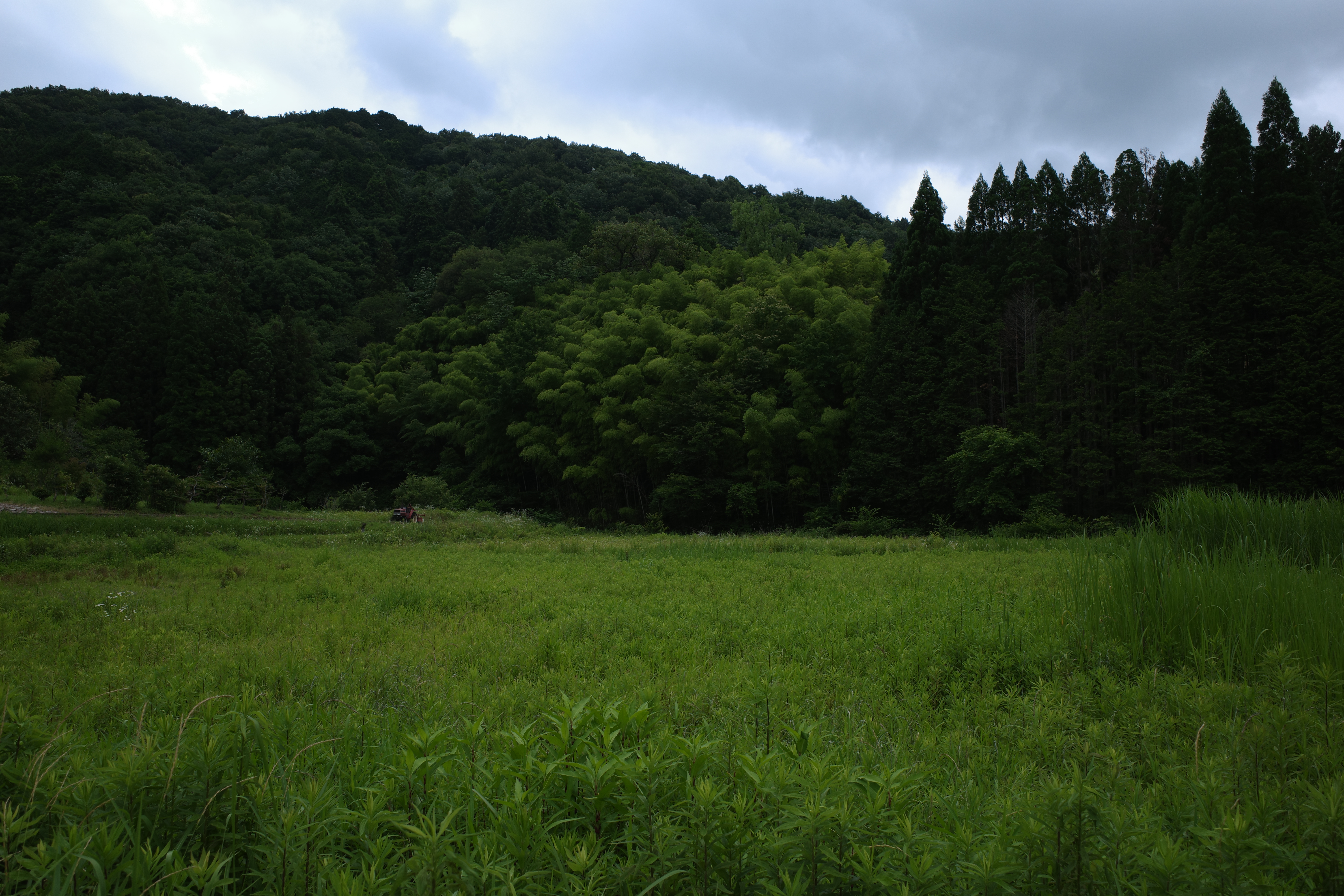 R0005721