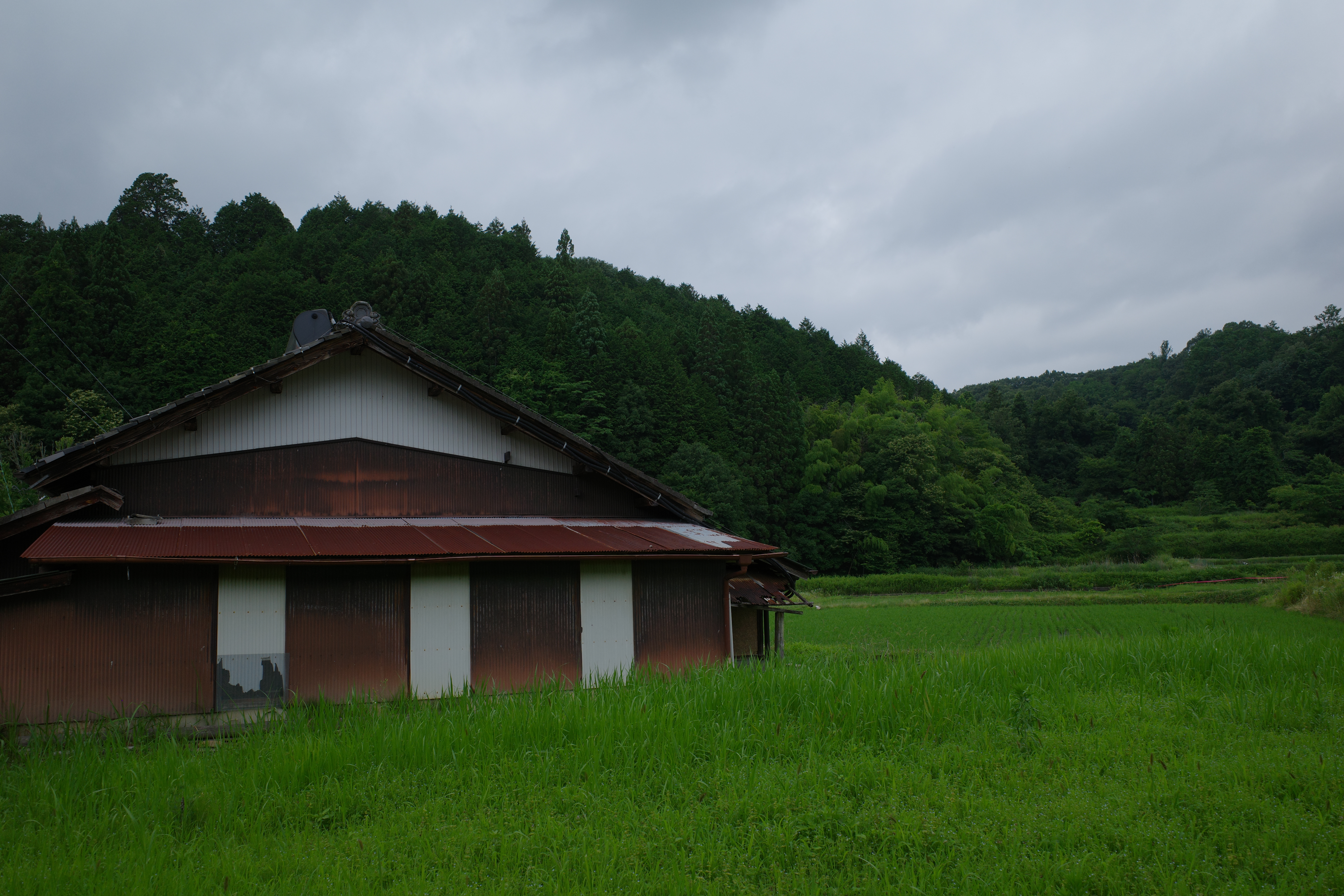 R0005786