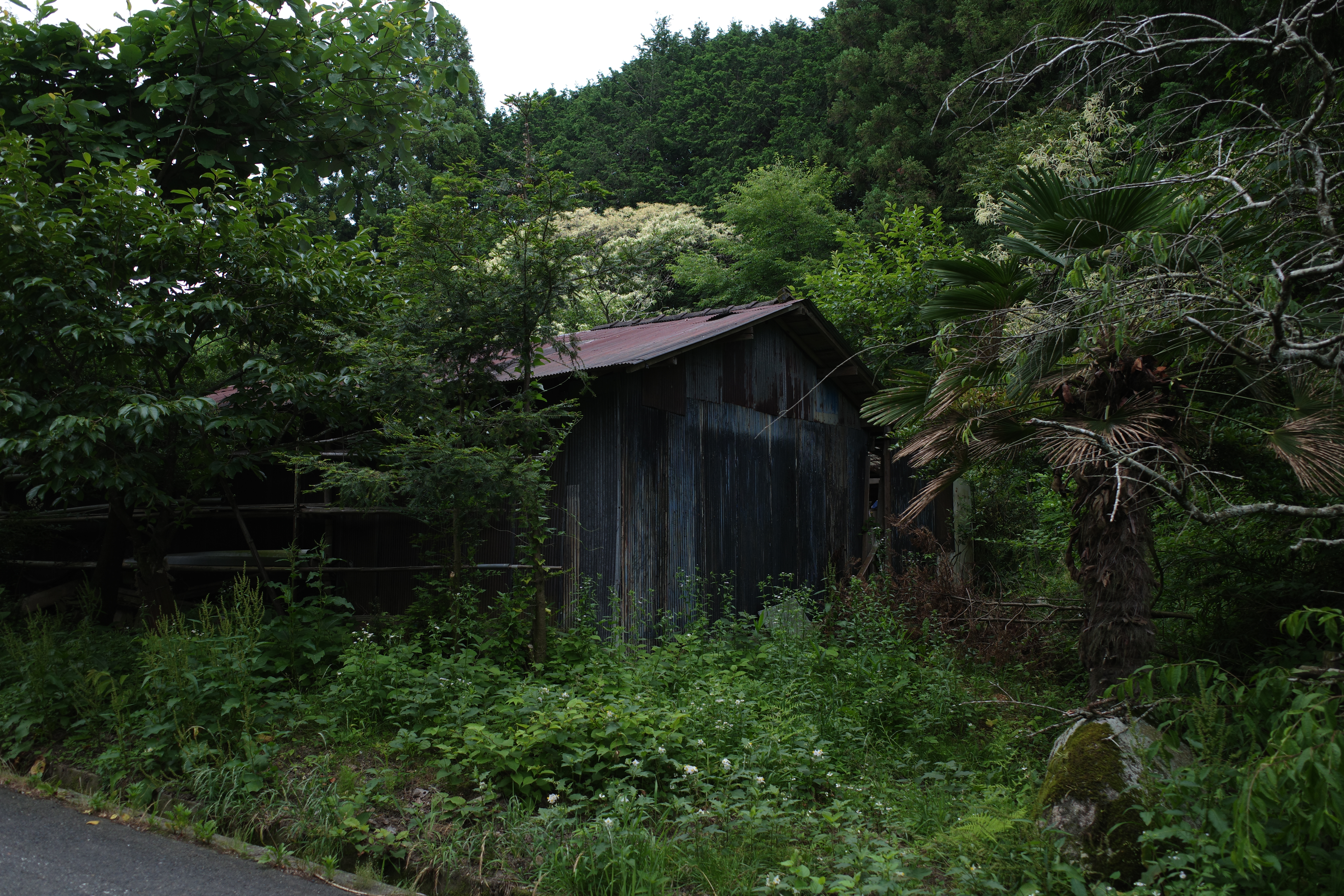 R0005806