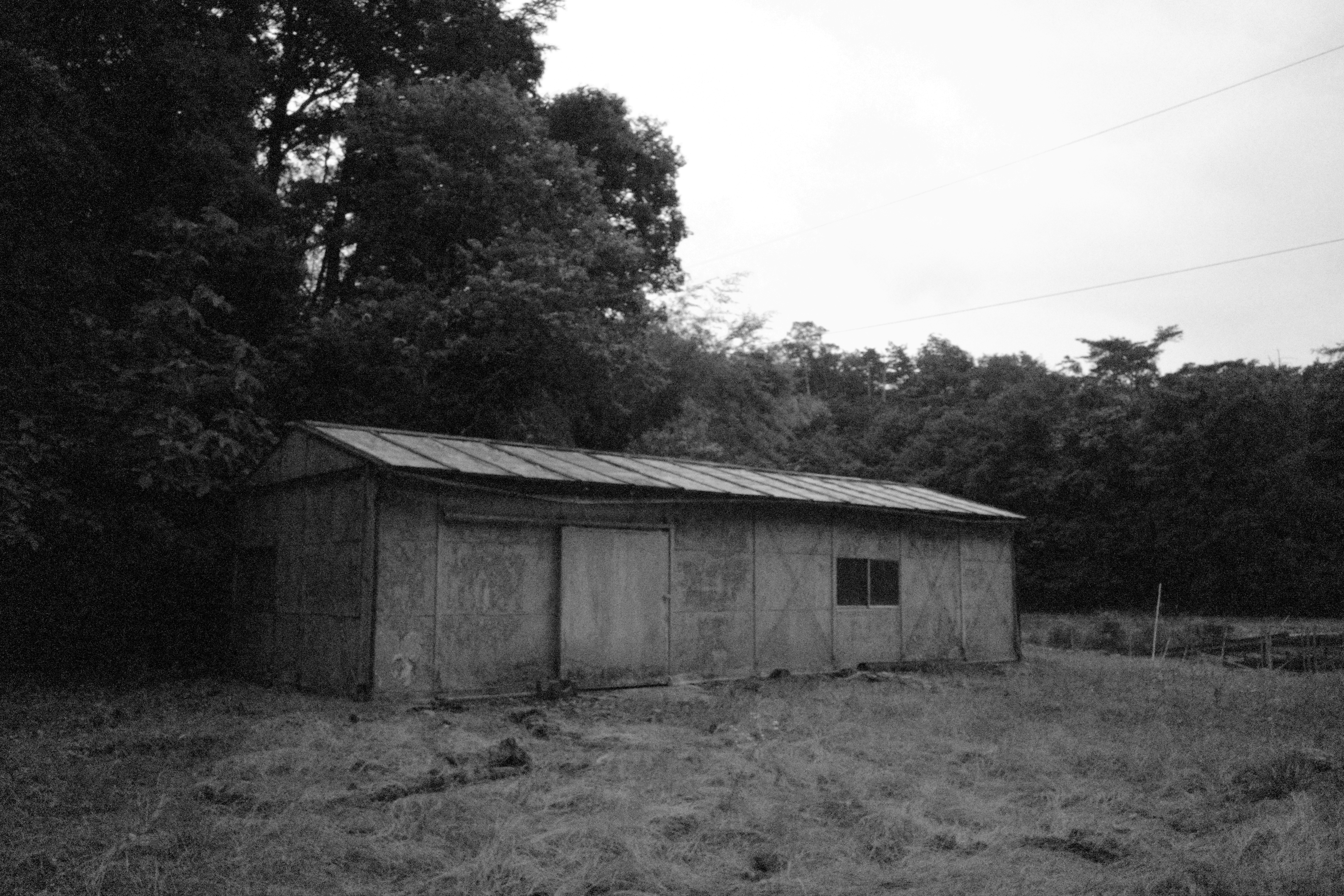 R0005841